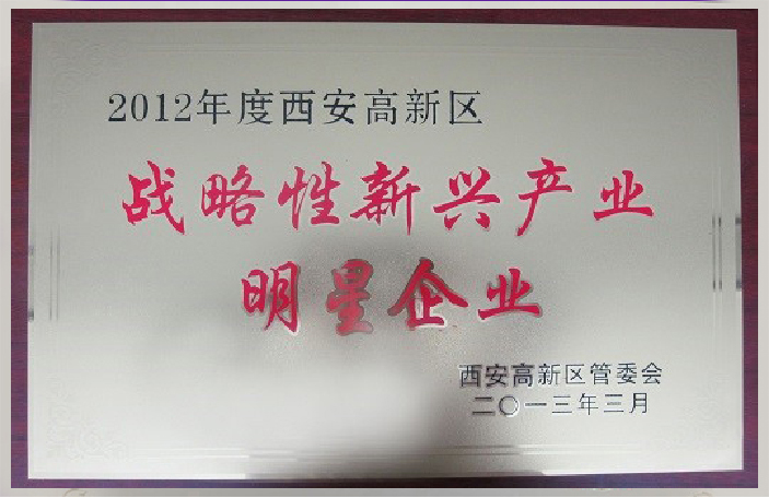 獲得2012年度“戰(zhàn)略性新興產(chǎn)業(yè)明星企業(yè)”榮譽(yù)稱號(hào)。